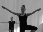 Elisa3