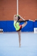 Elisa7