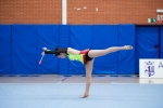 Elisa8